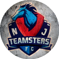 Logo New Jersey Teamsterz FC